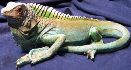 IGUANA MARMOLINA 001